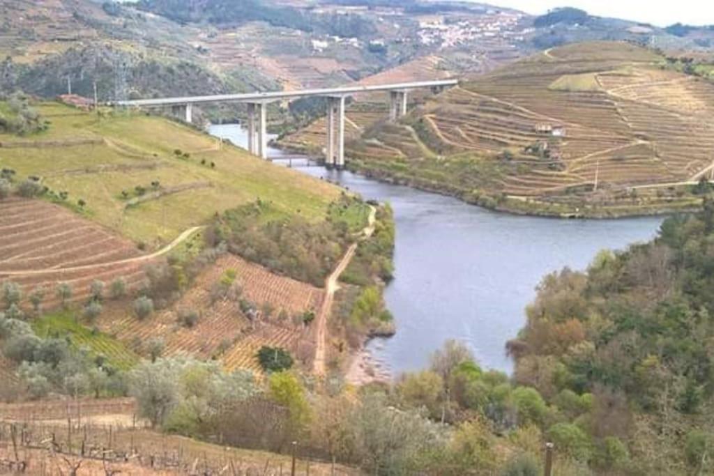 Casa Dos Copins Βίλα Lamego Εξωτερικό φωτογραφία
