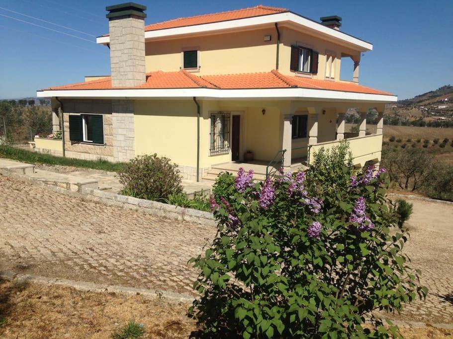 Casa Dos Copins Βίλα Lamego Εξωτερικό φωτογραφία