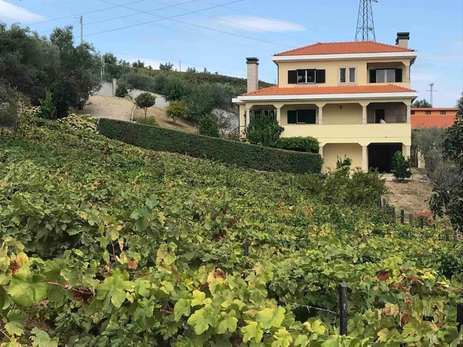 Casa Dos Copins Βίλα Lamego Εξωτερικό φωτογραφία