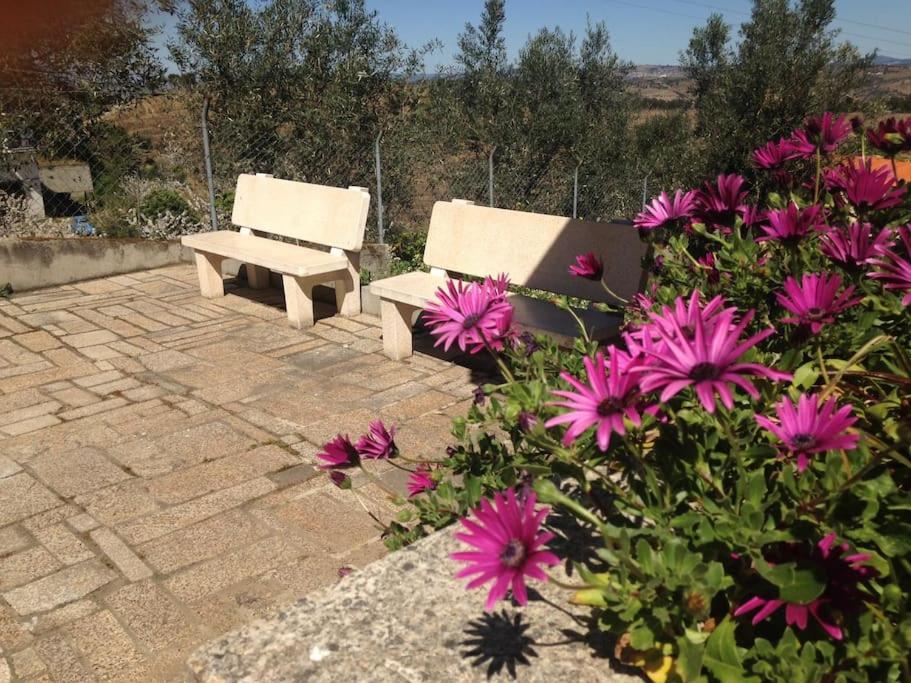 Casa Dos Copins Βίλα Lamego Εξωτερικό φωτογραφία
