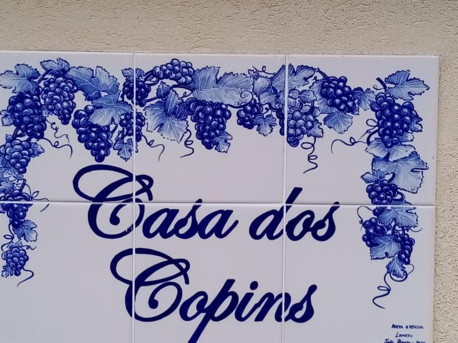 Casa Dos Copins Βίλα Lamego Εξωτερικό φωτογραφία